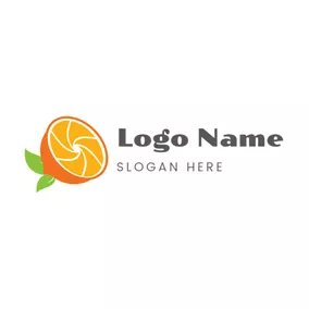 Orange Logo Orange and Camera Lens Icon logo design